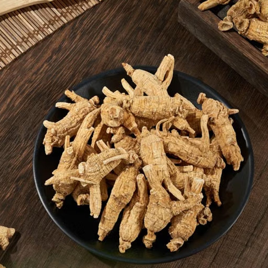 Panax Ginseng Root Extract ingredient spotlight for jogonglabs Five Elements Firming Serum