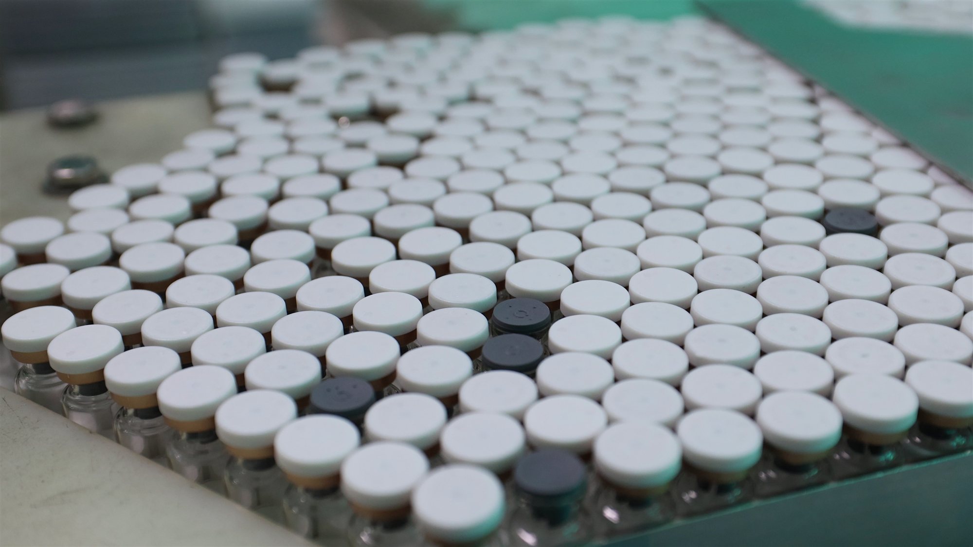 Rows of finished skincare jars moving along a filling line at the jogonglabs factory